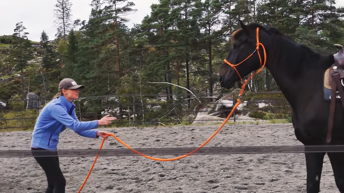 10 øvelser du kan gjøre når været begrenser deg Hawk Horsemanship