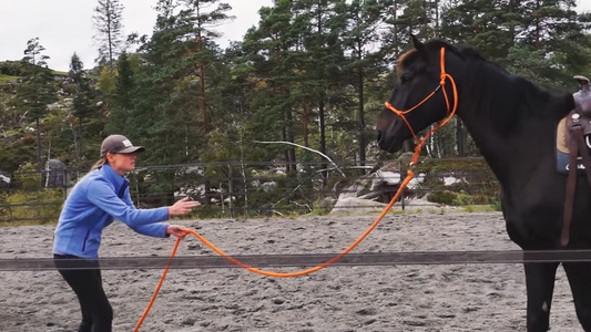 10 øvelser du kan gjøre når været begrenser deg Hawk Horsemanship