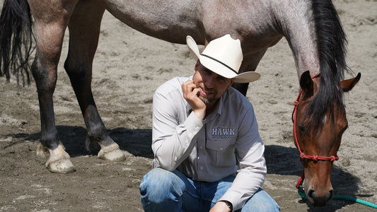 Å balansere hestens mentale personlighet Hawk Horsemanship