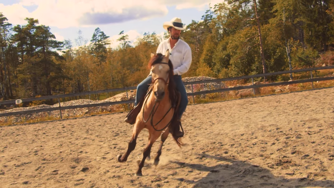 Et maraton og ikke en sprint Hawk Horsemanship