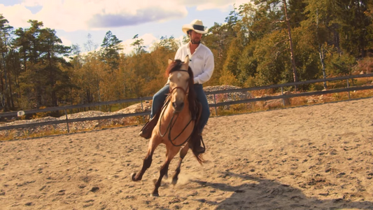 Et maraton og ikke en sprint Hawk Horsemanship