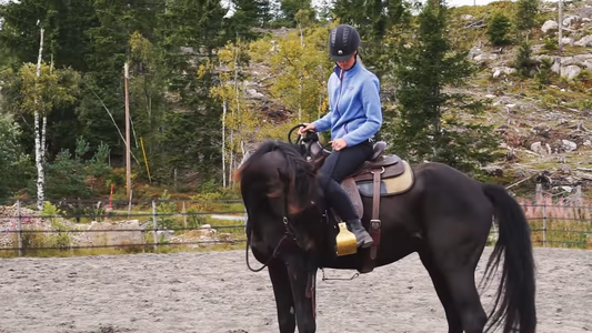 Få hesten din til å rygge bedre under rytter Hawk Horsemanship