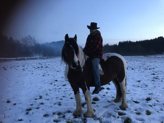 Hest som er redd for snøfreser Hawk Horsemanship