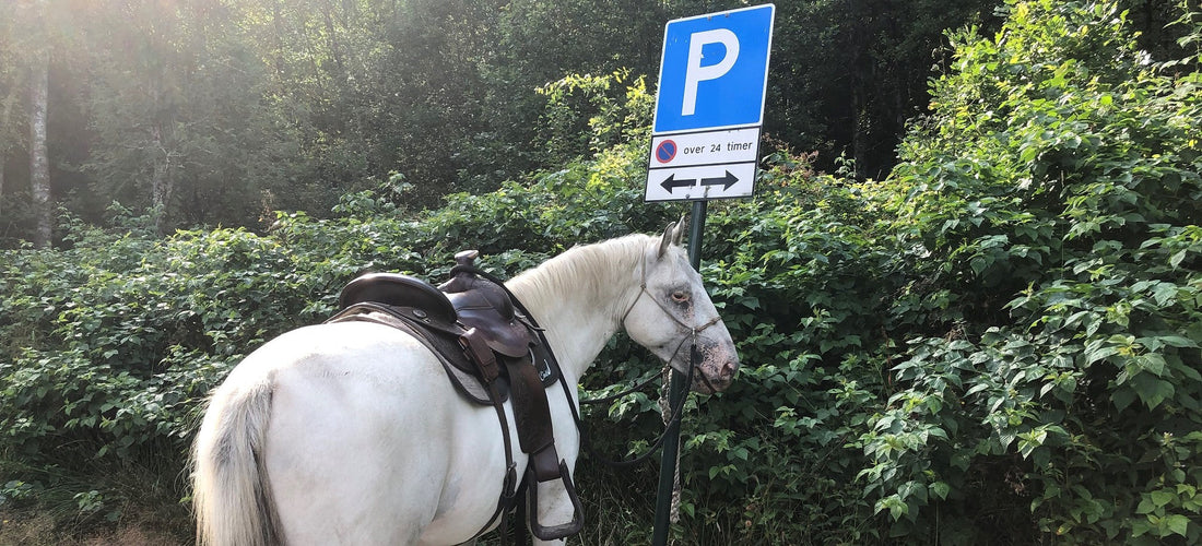Hester med dårlig fremdrift Hawk Horsemanship