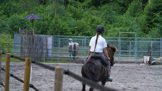 Hester med seperasjonsangst Hawk Horsemanship