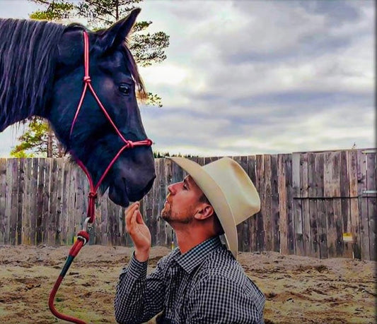 Hester som roper etter andre hester Hawk Horsemanship