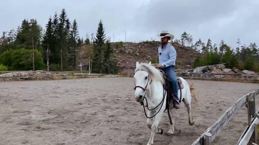 Når du ikke har ridebane Hawk Horsemanship