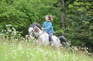 Never try, never know Hawk Horsemanship