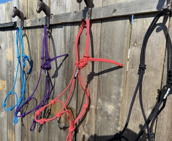 Taugrime Hawk Horsemanship