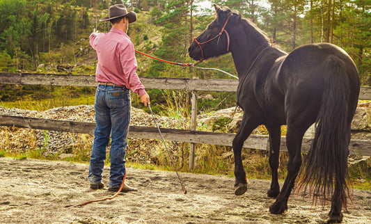 Begrenset tid til trening Hawk Horsemanship