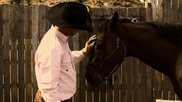 Hest som er redd for hodet sitt Hawk Horsemanship