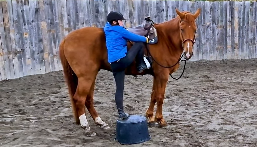 Hester som ikke står stille når du skal stige på Hawk Horsemanship