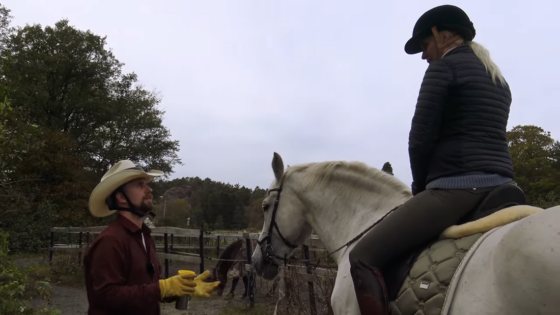 Hva betyr egentlig ordet Horsemanship? Hawk Horsemanship