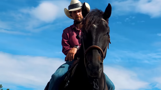 Misforståelser rundt negativ forsterkning Hawk Horsemanship