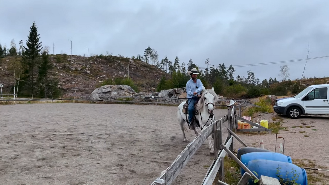 Når hesten tester deg Hawk Horsemanship