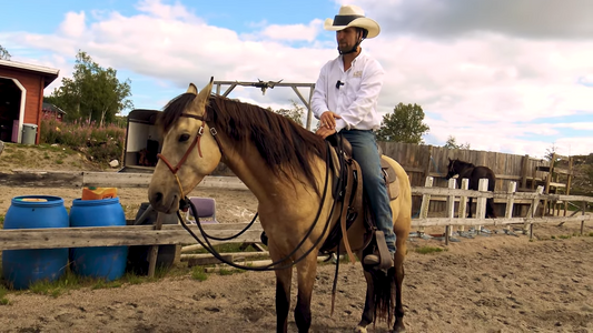 Pass på hvor du hviler hesten Hawk Horsemanship