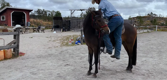 Stiger du av hesten så har du tapt Hawk Horsemanship