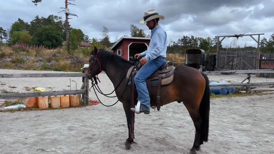 Vær oppmerksom på hvor og når du hviler hesten din Hawk Horsemanship